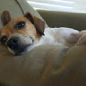 Meet your Posher, Summer